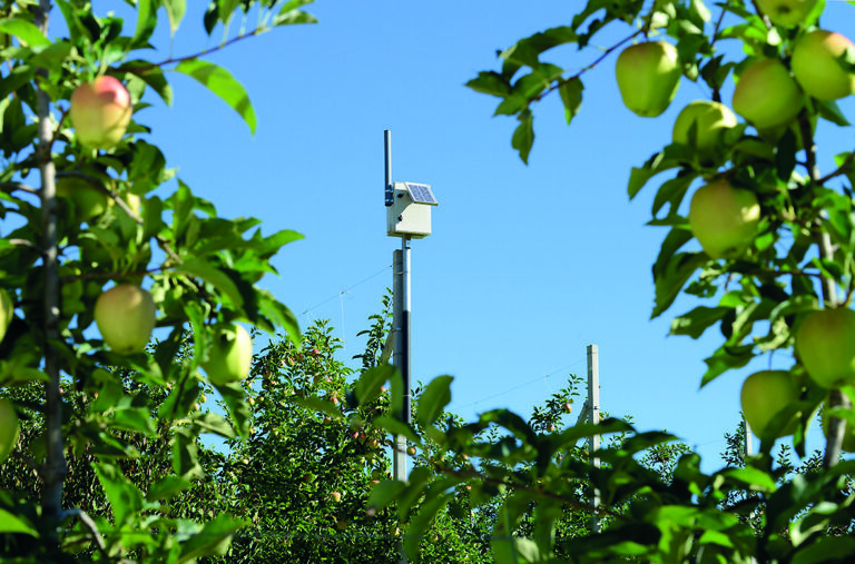 Irristar automazione impianti irrigui a mezzo radio